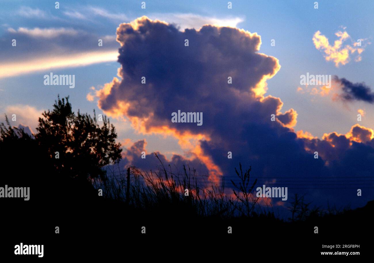 Nuages de tempête ( Cumulonimbus Clouds ) au coucher du soleil Banque D'Images