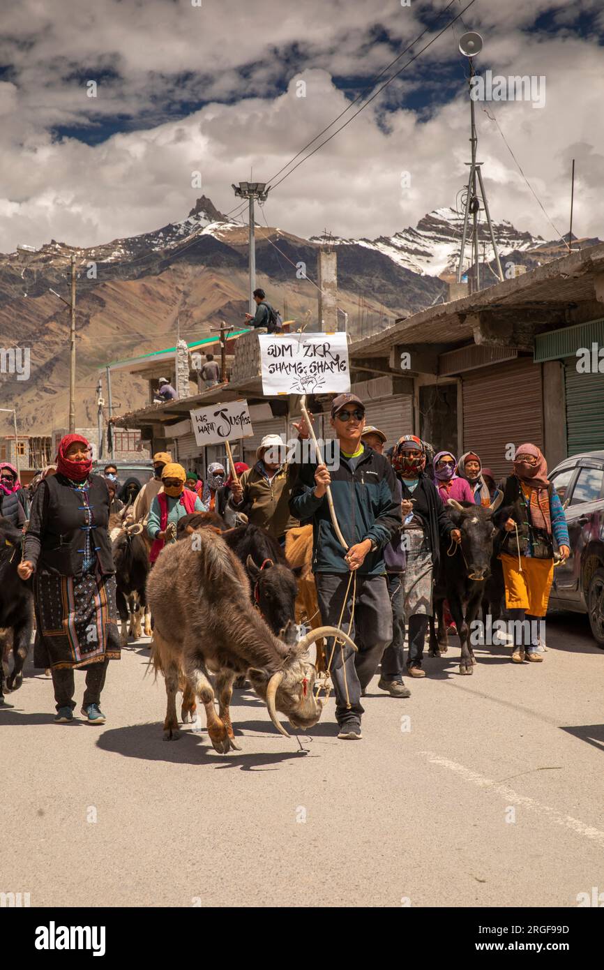 Inde, Ladakh, Zanskar, Padum, manifestation agricole, les agriculteurs avec du bétail demandent justice Banque D'Images