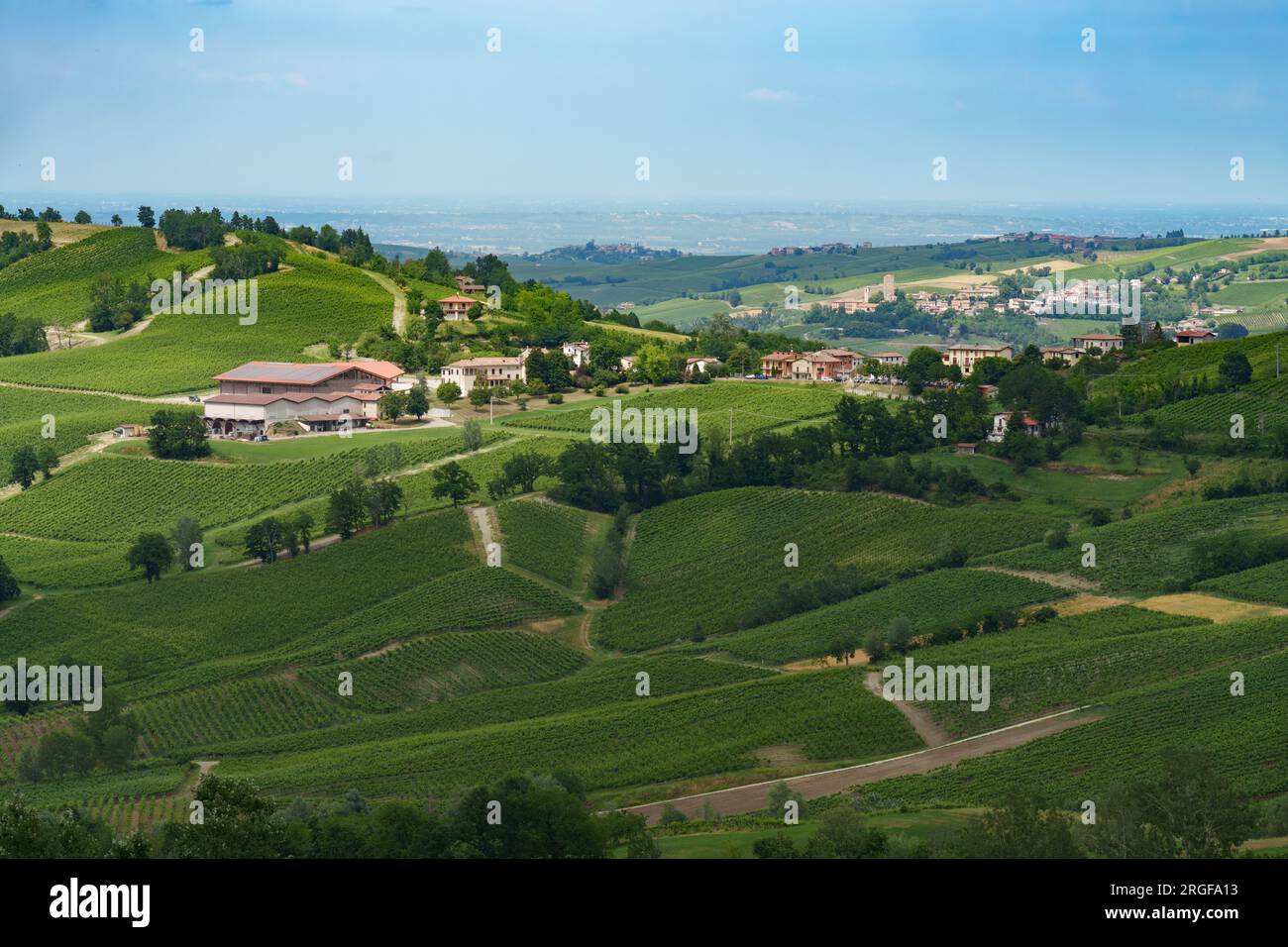 Collines d'Oltrepo Pavese, province de Pavie, Lombardie, Italie, au printemps. Vignobles Banque D'Images