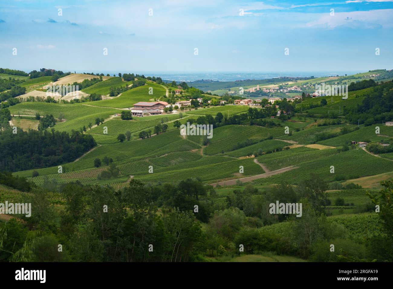 Collines d'Oltrepo Pavese, province de Pavie, Lombardie, Italie, au printemps. Vignobles Banque D'Images