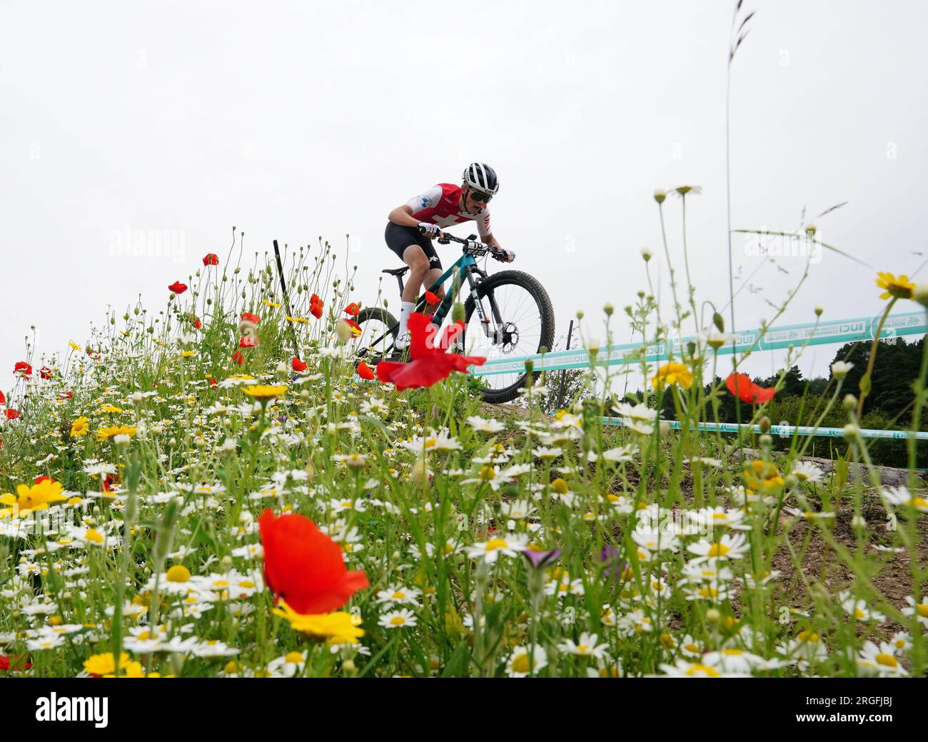 Le Suisse Nicolas Halter participe à la course de relais par équipes mixtes lors de la septième journée des Championnats du monde de cyclisme UCI 2023 au Glentress Mountain Bike Trail Centre, Peebles. Date de la photo : mercredi 9 août 2023. Banque D'Images