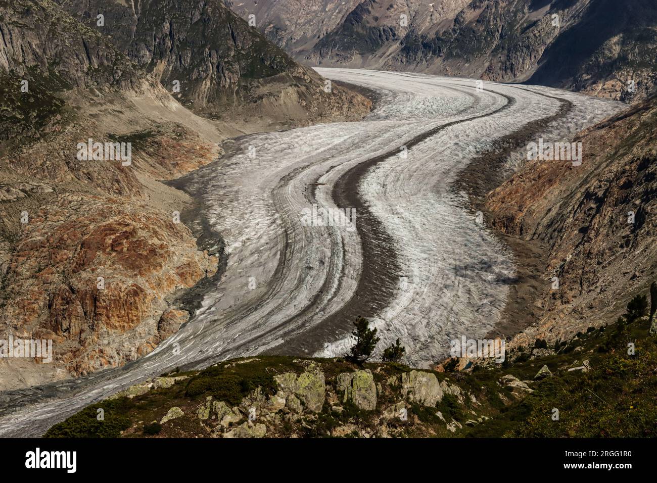 Glacier d'Aletsch, glacier d'Aletsch, Aletsch Gletscher, Suisse Banque D'Images