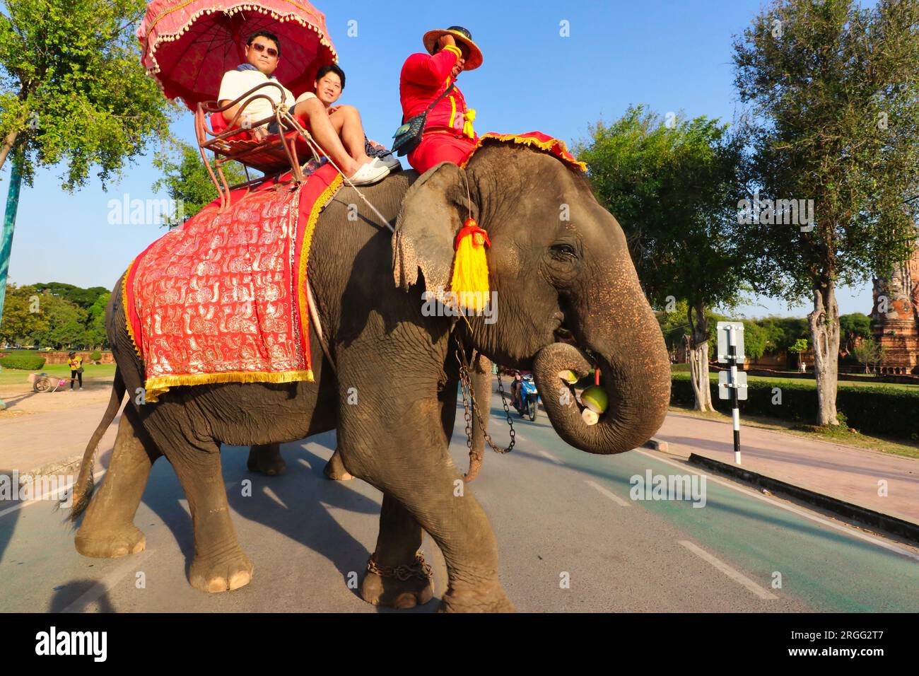 25 décembre 2018, Ayutthaya, Thaïlande - les touristes profitent d'un tour d'éléphant à Ayutthaya, Thaïlande Banque D'Images