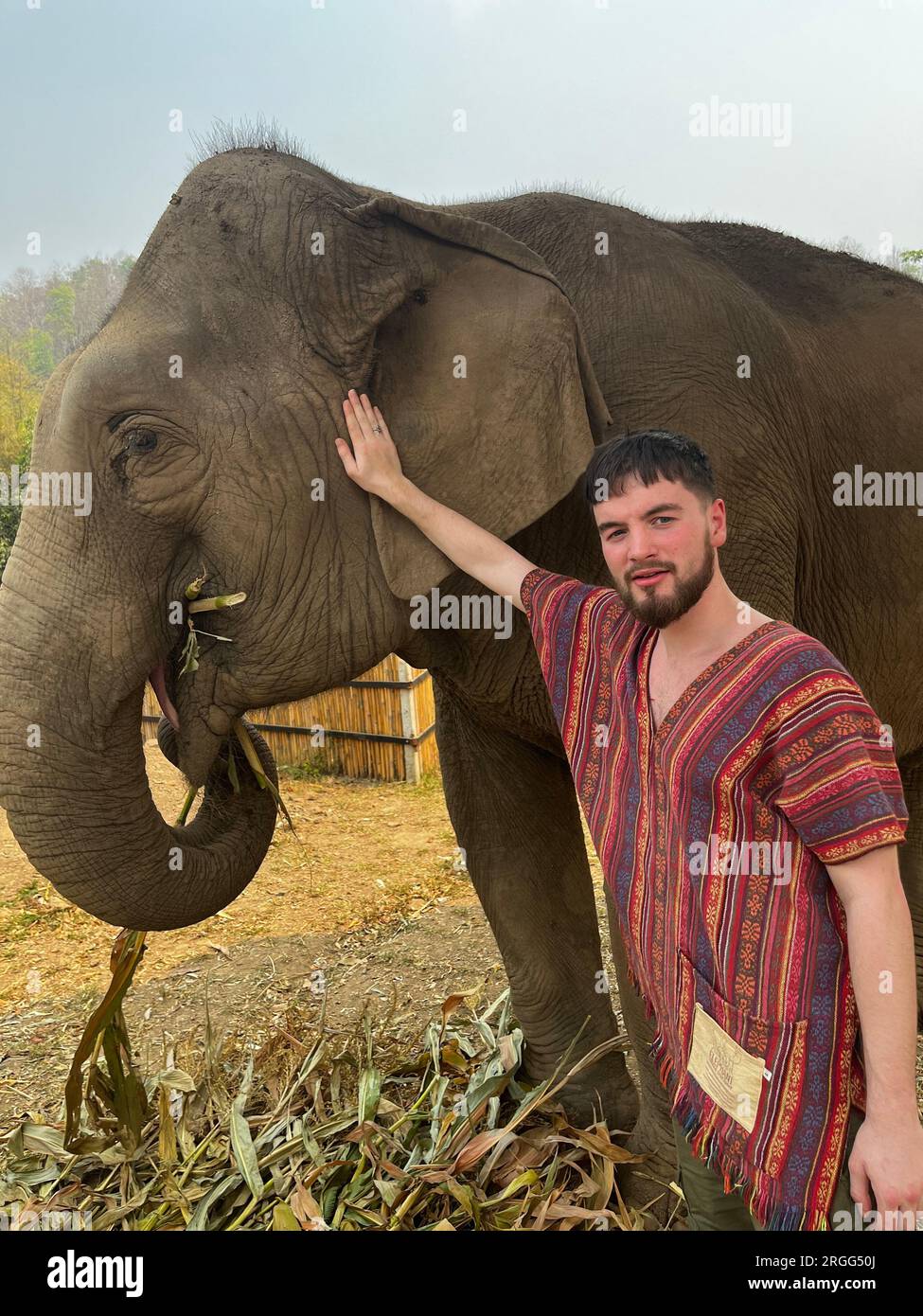 touriste avec éléphant à Elephant Jungle Sanctuary près de Chiang Mai, Thaïlande Banque D'Images