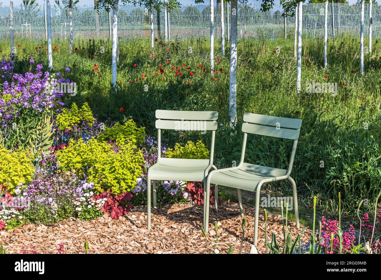 Deux chaises en métal vert clair dans un jardin luxuriant en fleurs Banque D'Images