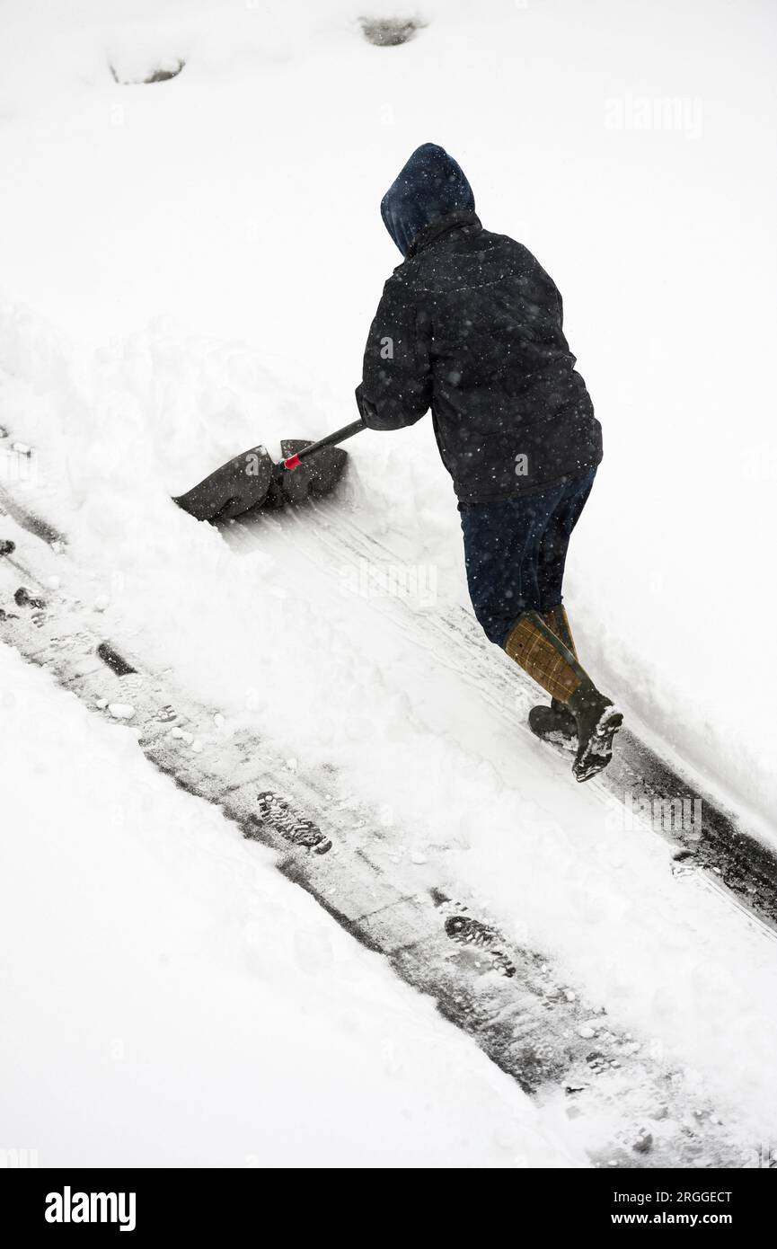 Adulte pelletant la neige de l'allée après une tempête hivernale. Banque D'Images