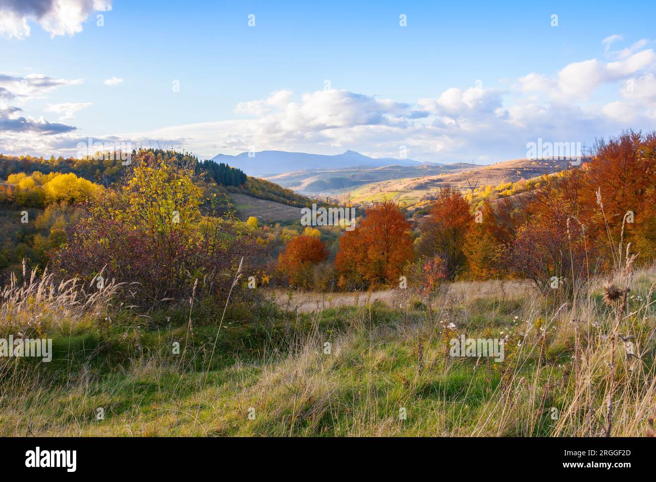 belle vue sur la vallée rurale. paysage d'automne sur un après-midi ensoleillé. nuages au-dessus de la crête lointaine avec un pic élevé Banque D'Images