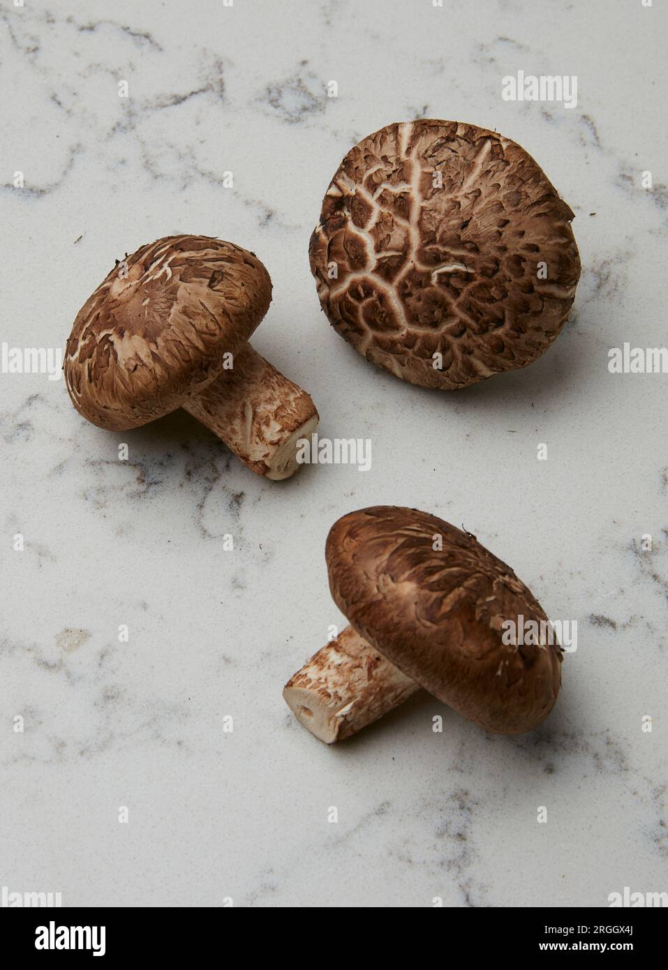 Sur les champignons en Banque D'Images