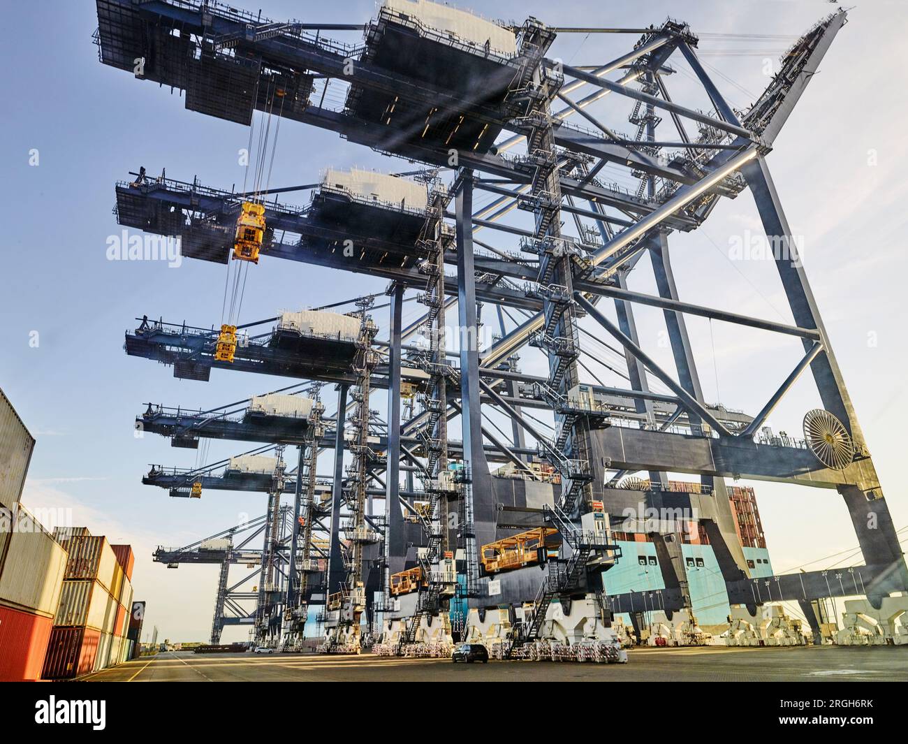 Low angle view de grues au port de Felixstowe, England Banque D'Images