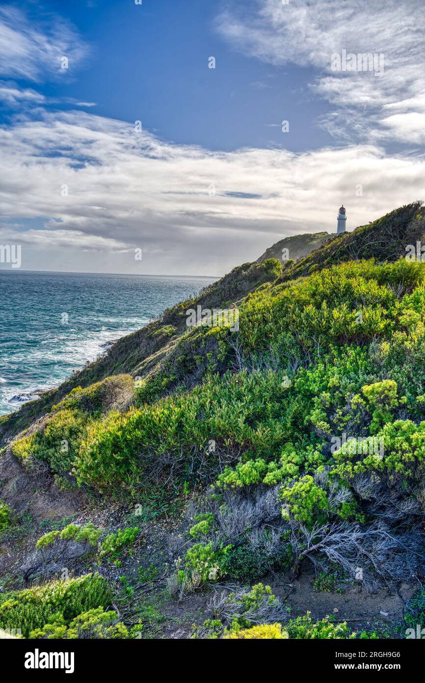 Paysage de la péninsule de Mornington, Victoria, Australie Banque D'Images
