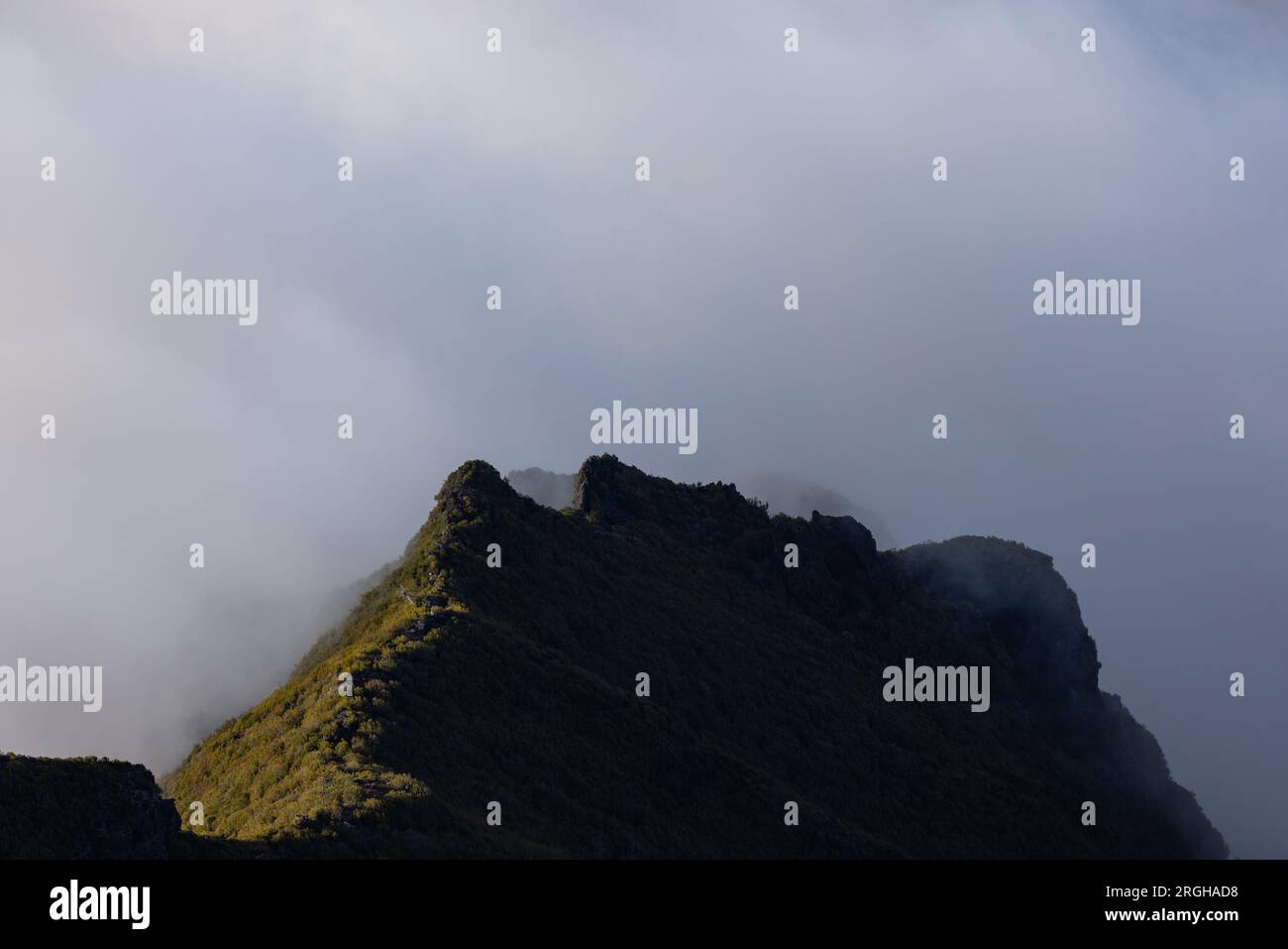 Ambiance mystique au-dessus d'une vallée de Madère entourée d'une forêt dense. Banque D'Images