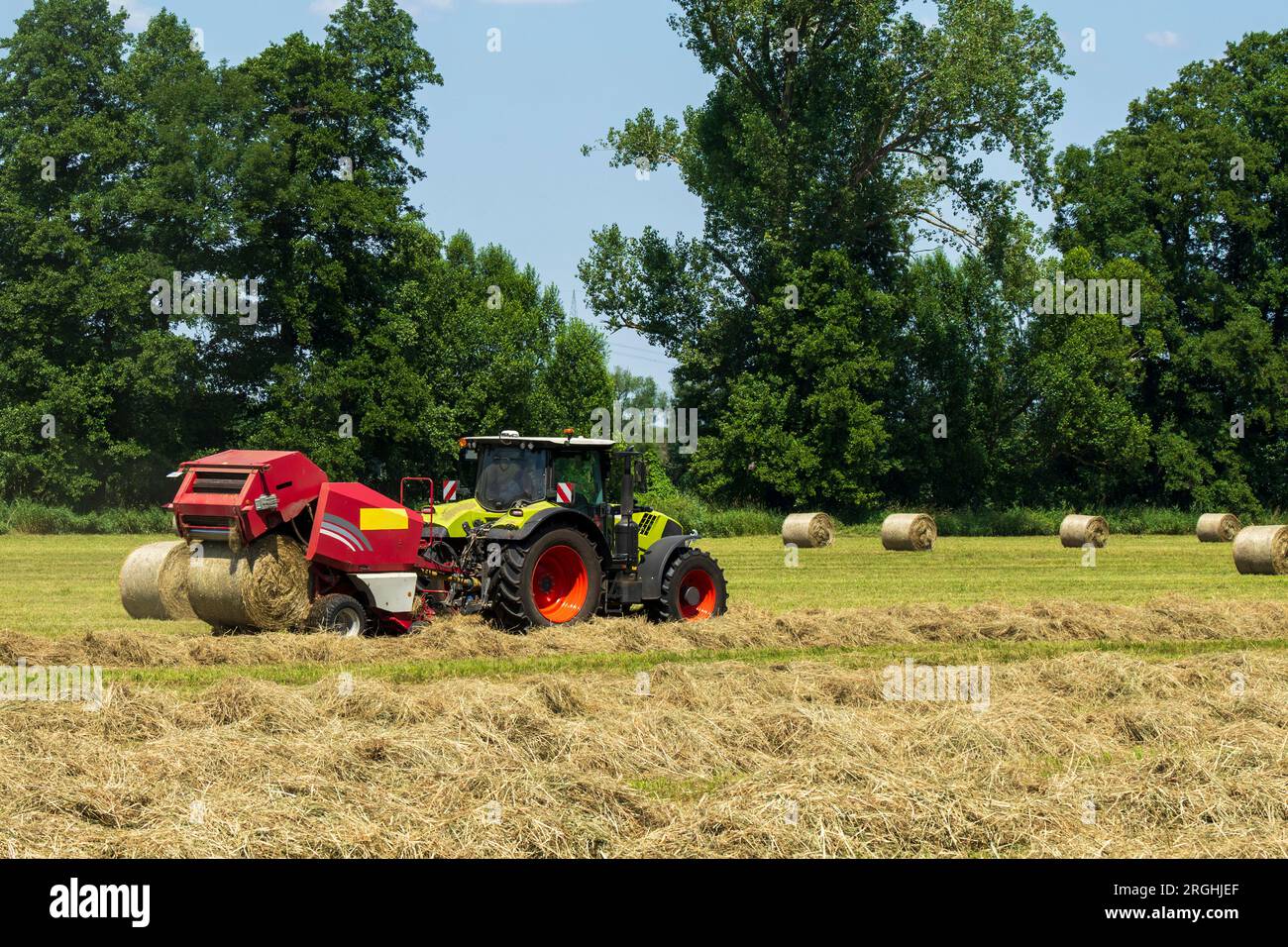L'herbe fauchée est pressée en balles de foin Banque D'Images