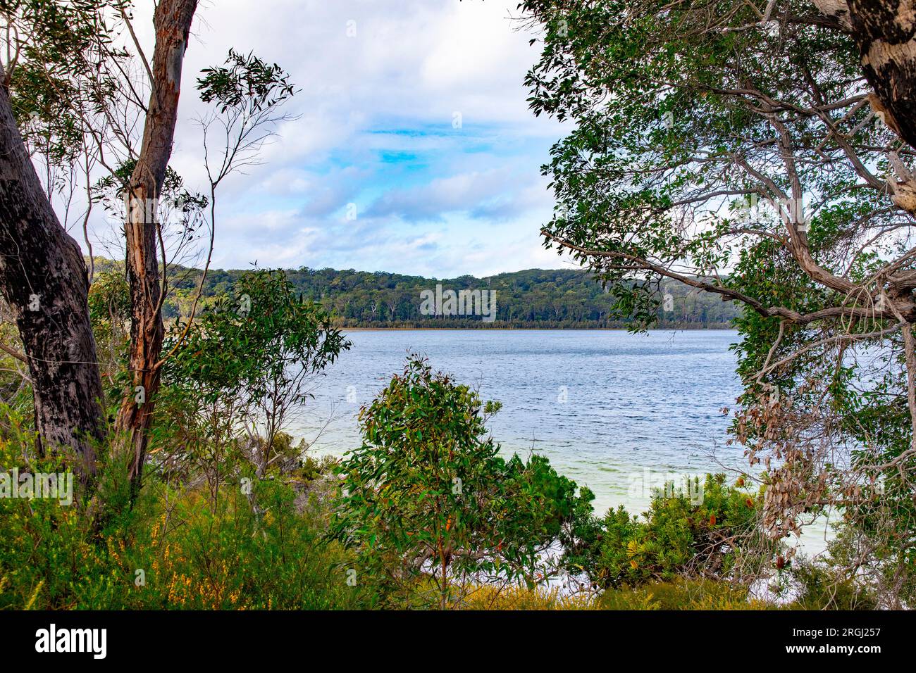 Lake Birrabeen Fraser Island K'gari, 2023, un lac perché avec du sable blanc doux à haute teneur en silice, Queensland, Australie Banque D'Images