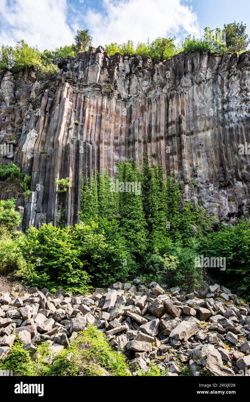 Basalte Rocks dans le district de Boyabat. Sinop, Turquie. Affleurent rocheux volcaniques sous forme de basalte colonnaire situé à Sinop. Monument naturel Basalte Rocks. Banque D'Images