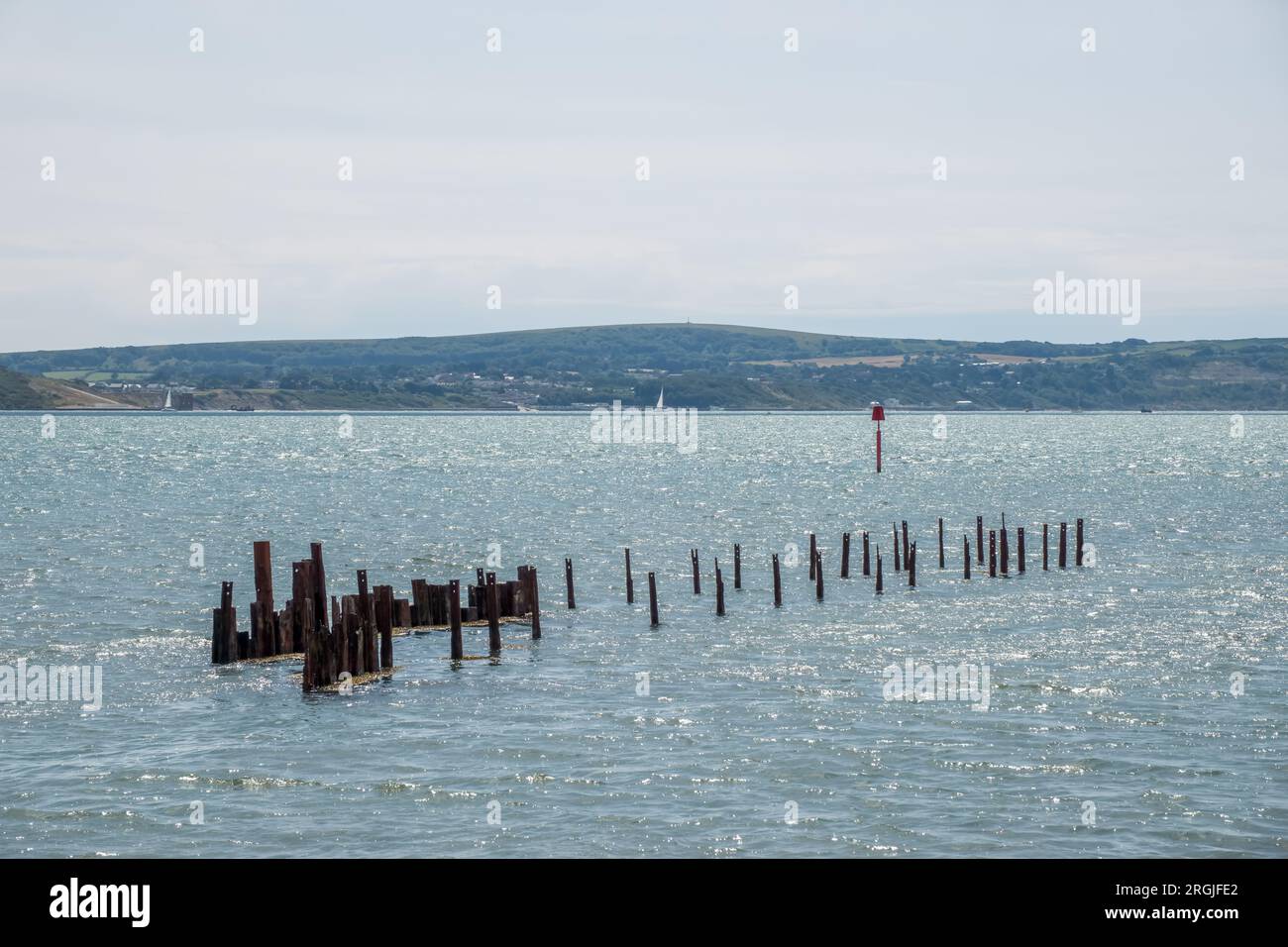 Restes squelettiques de la vieille jetée à Keyhaven et Lymington réserve naturelle Hampshire Angleterre Banque D'Images