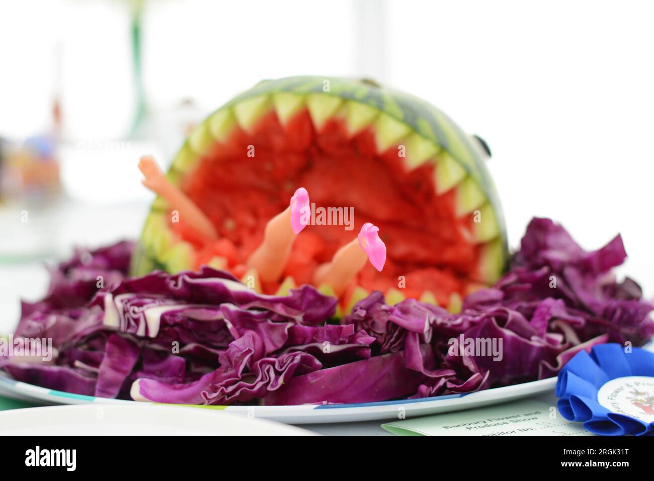 Requin pastèque sur un lit de chou rouge «mange» une poupée. Lauréat de la catégorie enfants de l'exposition Floral and Produce Show de Banbury en 2016 Banque D'Images