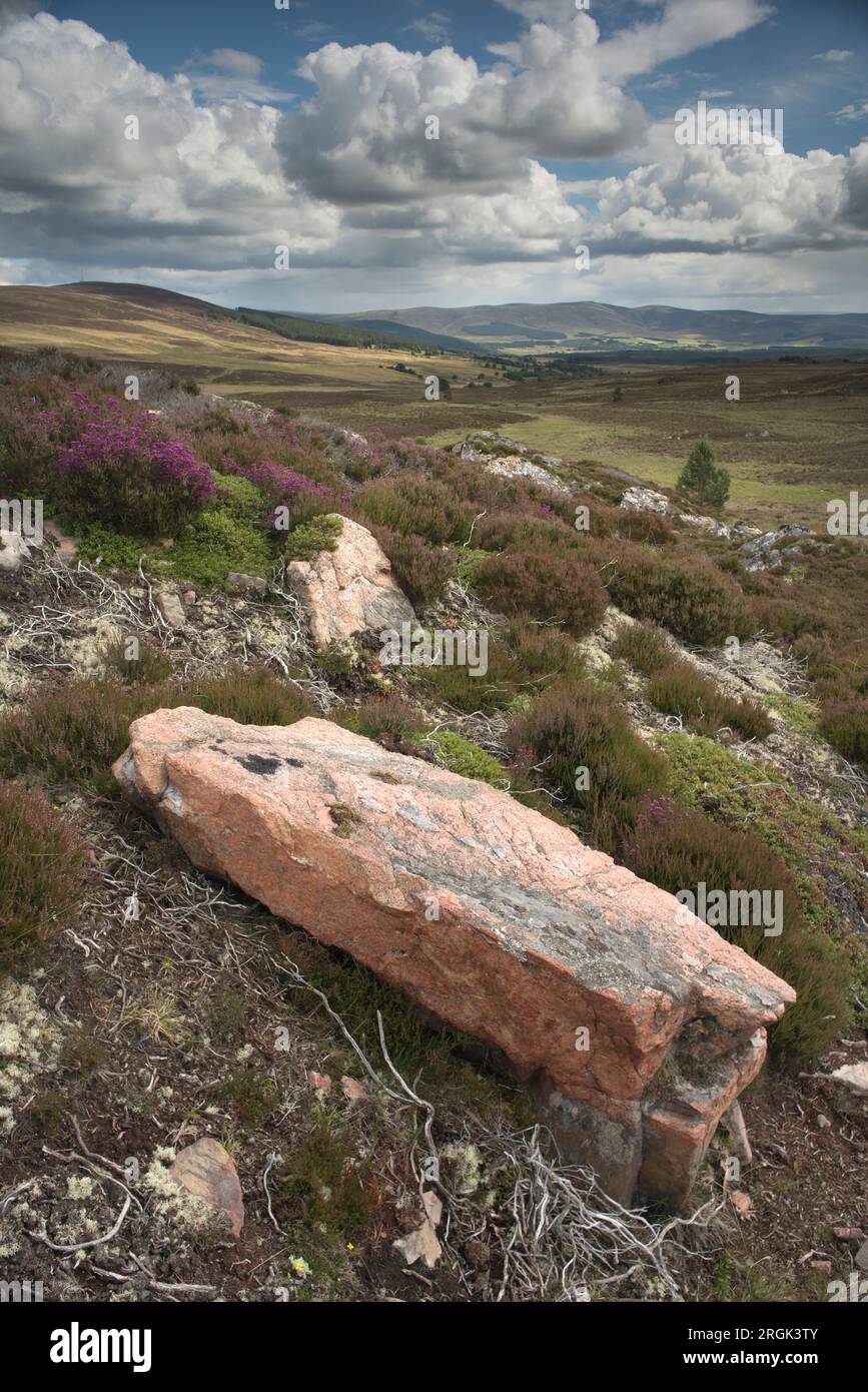 Les montagnes de Cairngorm vues depuis la route de Dava, Speyside, région de Grampian, Écosse. Banque D'Images