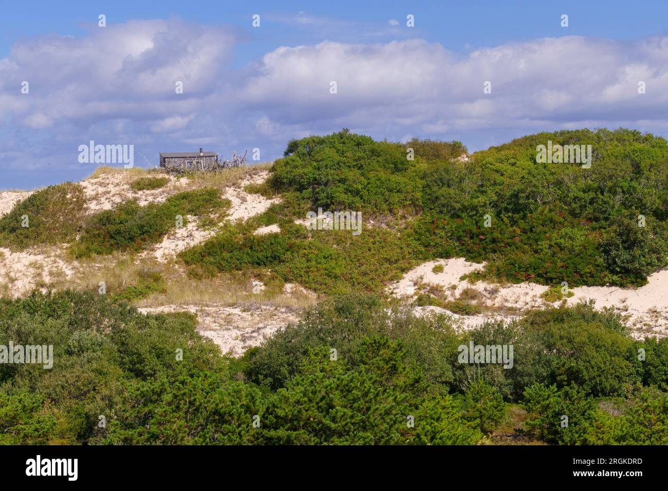 Dunes de Provincetown dans le National Seashore Park, Cape Cod, Massachusetts, États-Unis Banque D'Images