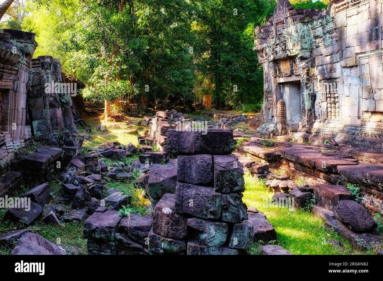 L'étreinte de la nature : ruines antiques de la civilisation khmère trouvées dans la forêt cambodgienne, façonnant un paysage pittoresque. Banque D'Images