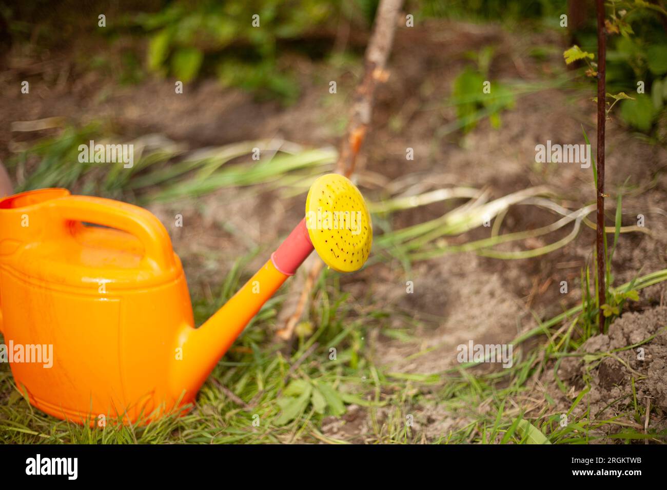 Arrosoir avec de l'eau. Équipement dans le jardin. Jardin d'arrosage. Outil  de jardinier Photo Stock - Alamy