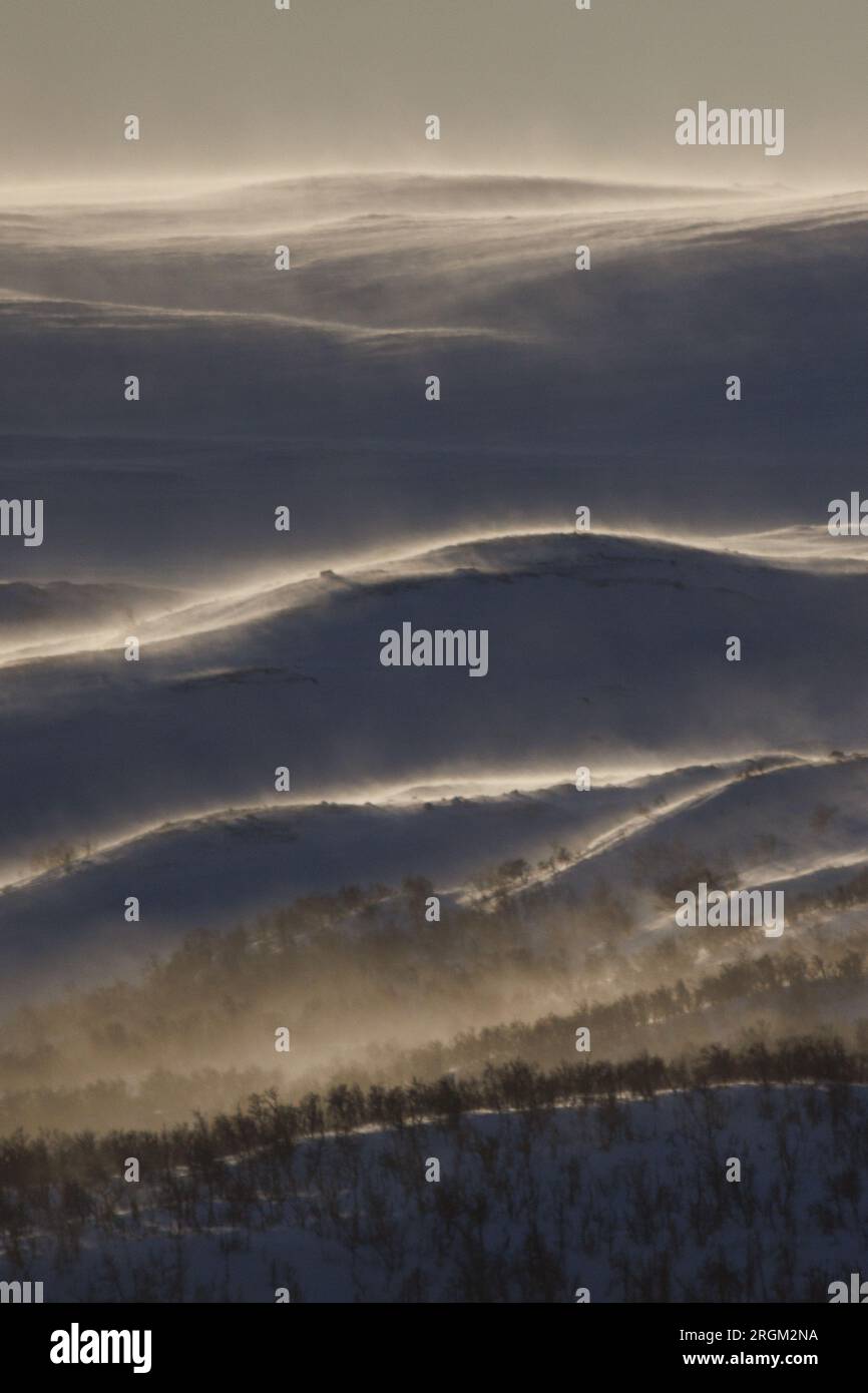 Une tempête de neige à Geilo en Norvège, Banque D'Images
