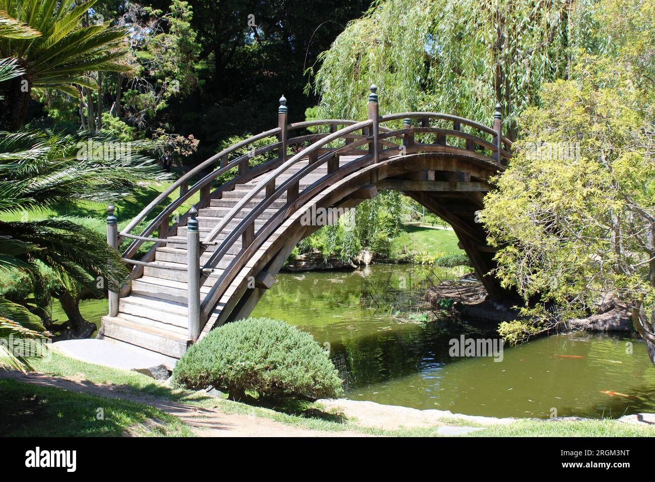 Moon Bridge, jardin japonais, Huntington Gardens, San Marino, Californie Banque D'Images