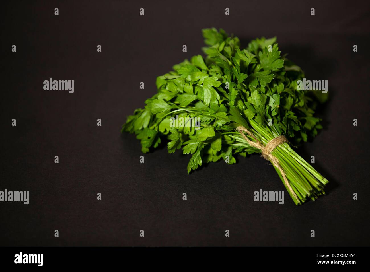Bouquet de persil bio vert sur un fond sombre. Assaisonnement parfumé pour salade ou autres plats. Espace pour le texte. Banque D'Images