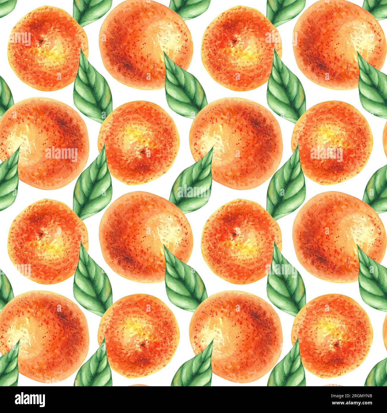 Aquarelle mandarine motif sans couture dessiné à la main. Agrumes avec des feuilles, des fleurs, des fruits isolés sur fond blanc. Motif botanique pour wallp Banque D'Images