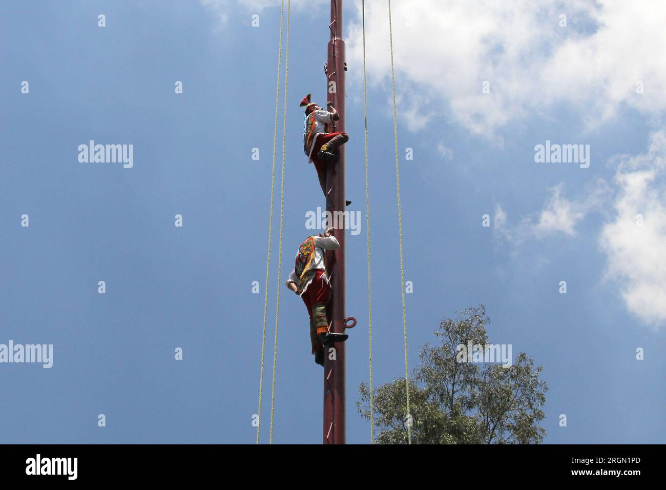 Mexico, Mexique - 2 août 2023 : la cérémonie rituelle des Voladores de Papantla est une danse associée à la fertilité qu'ils exécutent Banque D'Images