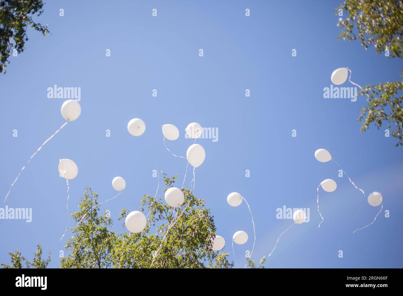 Boules blanches dans le ciel. Les ballons volent dans les airs. Détails des vacances. Voler dans le ciel. Banque D'Images