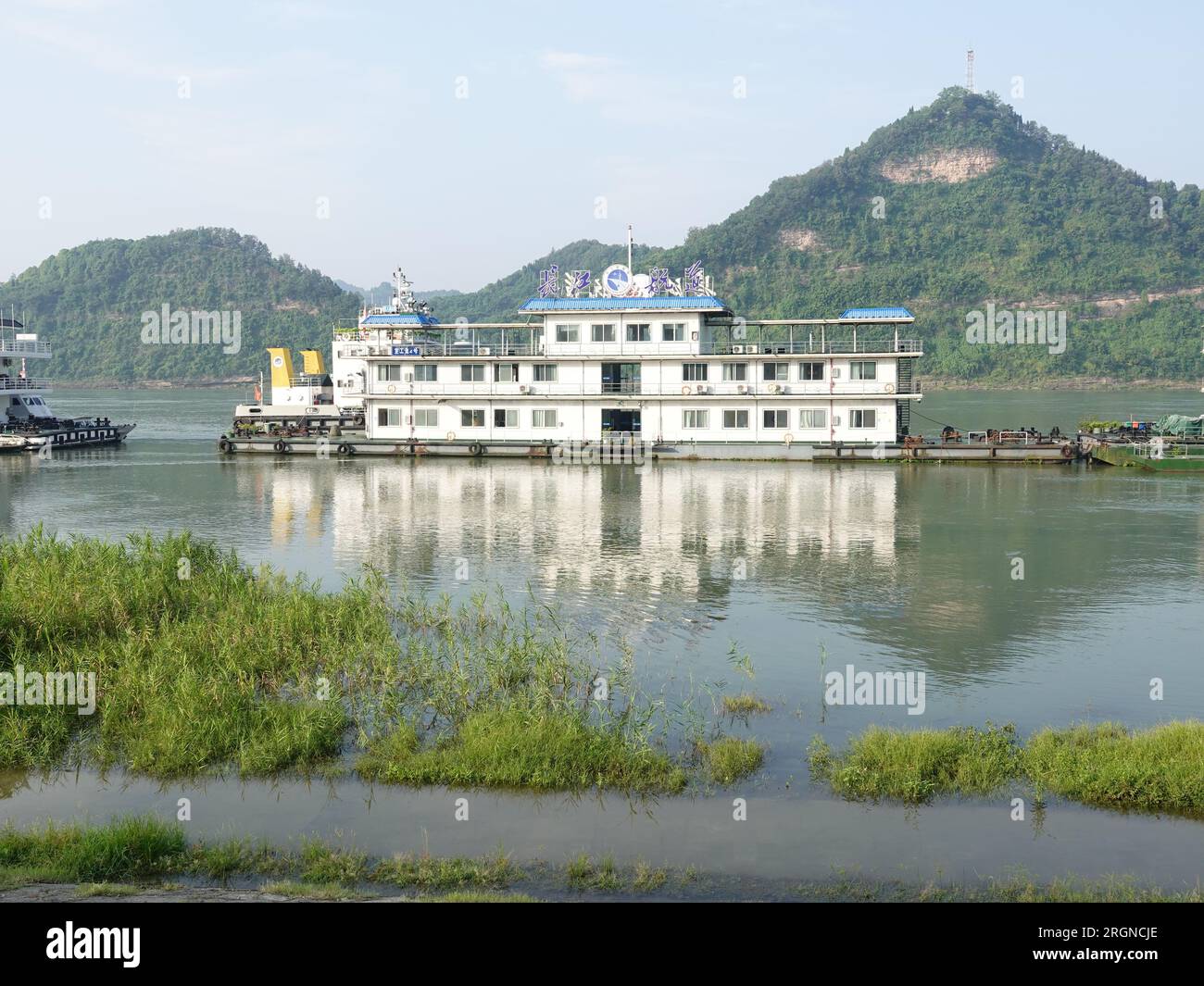 YICHANG, CHINE - 11 AOÛT 2023 - les plantes vertes trempent dans l'eau claire de la montée du fleuve Yangtze à Yichang, province du Hubei, Chine, le 11 août 2023 Banque D'Images