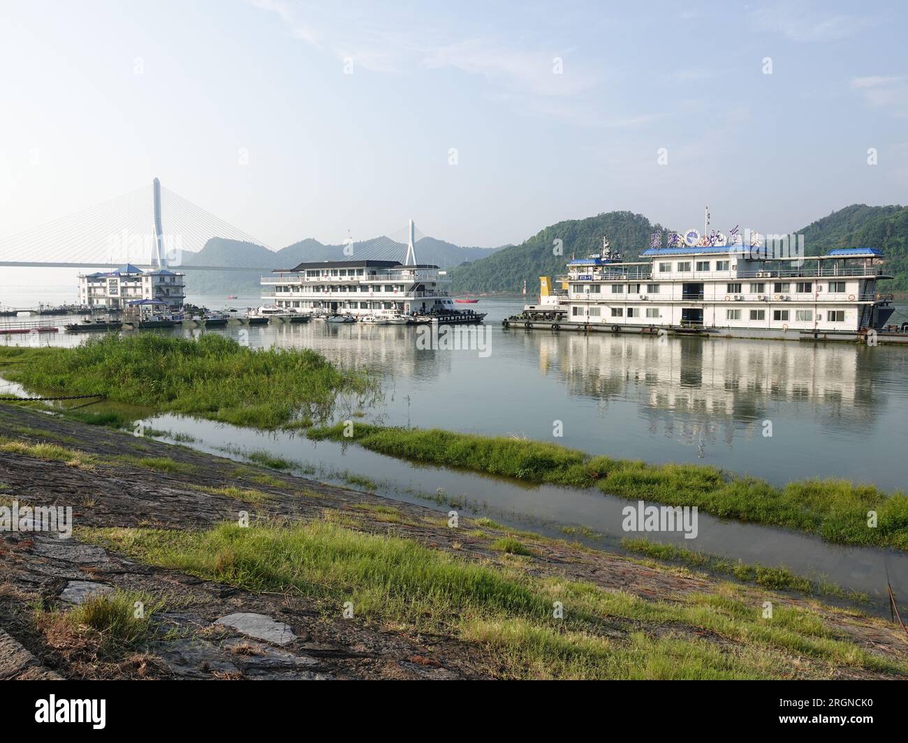 YICHANG, CHINE - 11 AOÛT 2023 - les plantes vertes trempent dans l'eau claire de la montée du fleuve Yangtze à Yichang, province du Hubei, Chine, le 11 août 2023 Banque D'Images