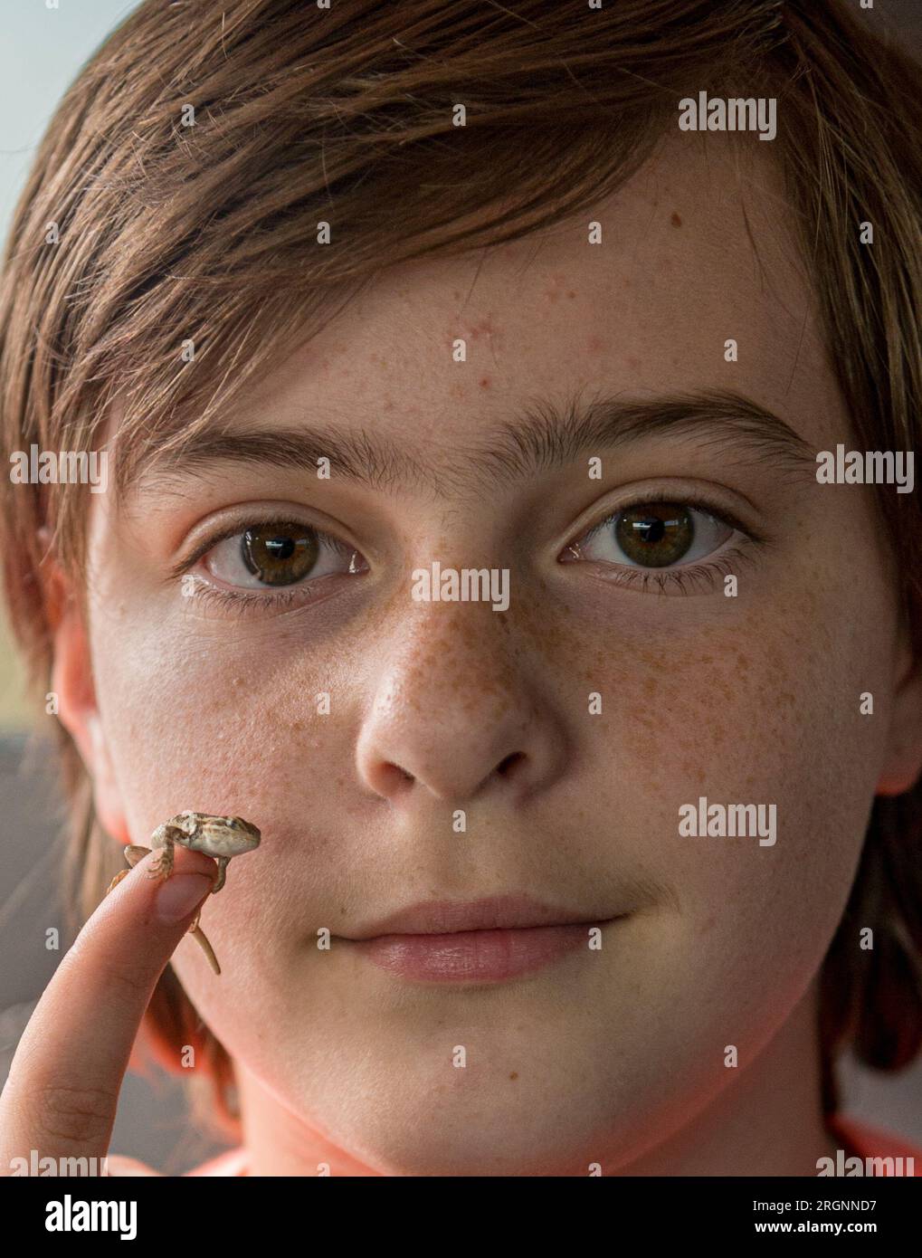 Un enfant montre une petite grenouille Banque D'Images