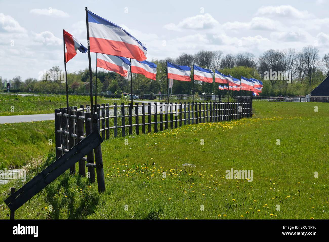Une rangée de drapeaux néerlandais rouge blanc et bleu à l'envers aux pays-Bas. Protestations contre la réduction forcée du bétail en raison des émissions de CO2. Banque D'Images