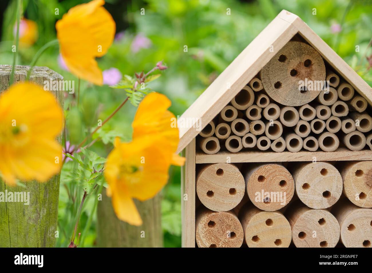 Gros plan d'un hôtel à insectes ou d'un hôtel à abeilles dans un jardin d'été. Un hôtel à insectes est une structure artificielle créée pour fournir un abri aux insectes. Banque D'Images