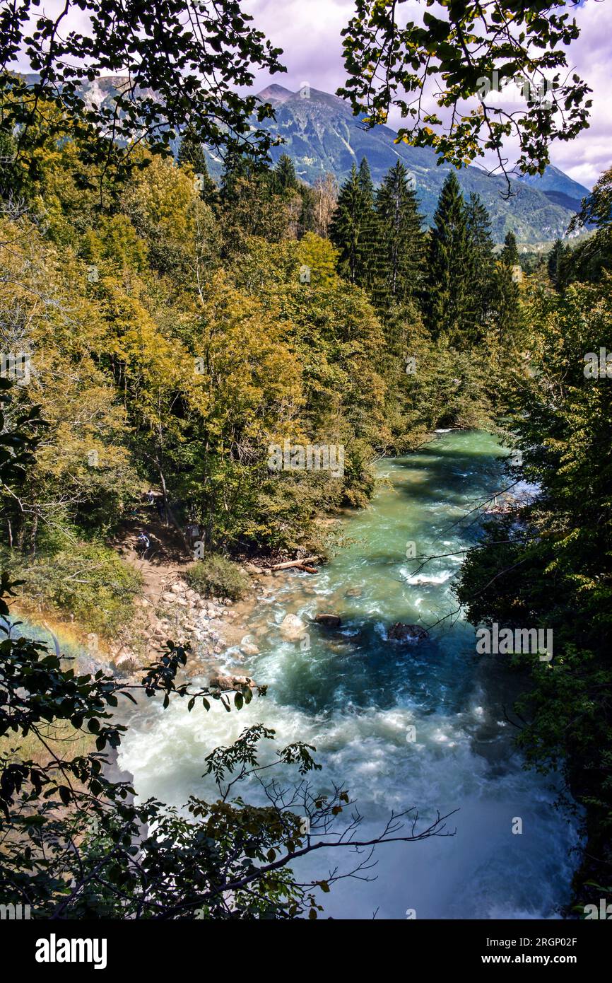 Rivière sauvage par les Alpes dans les gorges de Vintgar, Slovénie Banque D'Images
