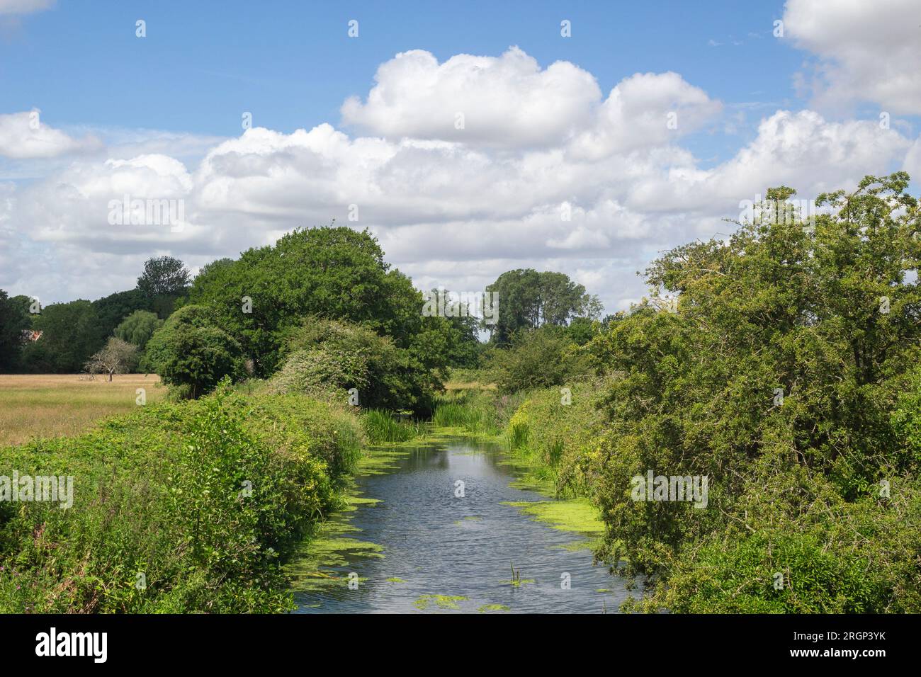 Vue le long de la rivière Blyth, Wenhaston, Suffolk, Angleterre, Royaume-Uni Banque D'Images