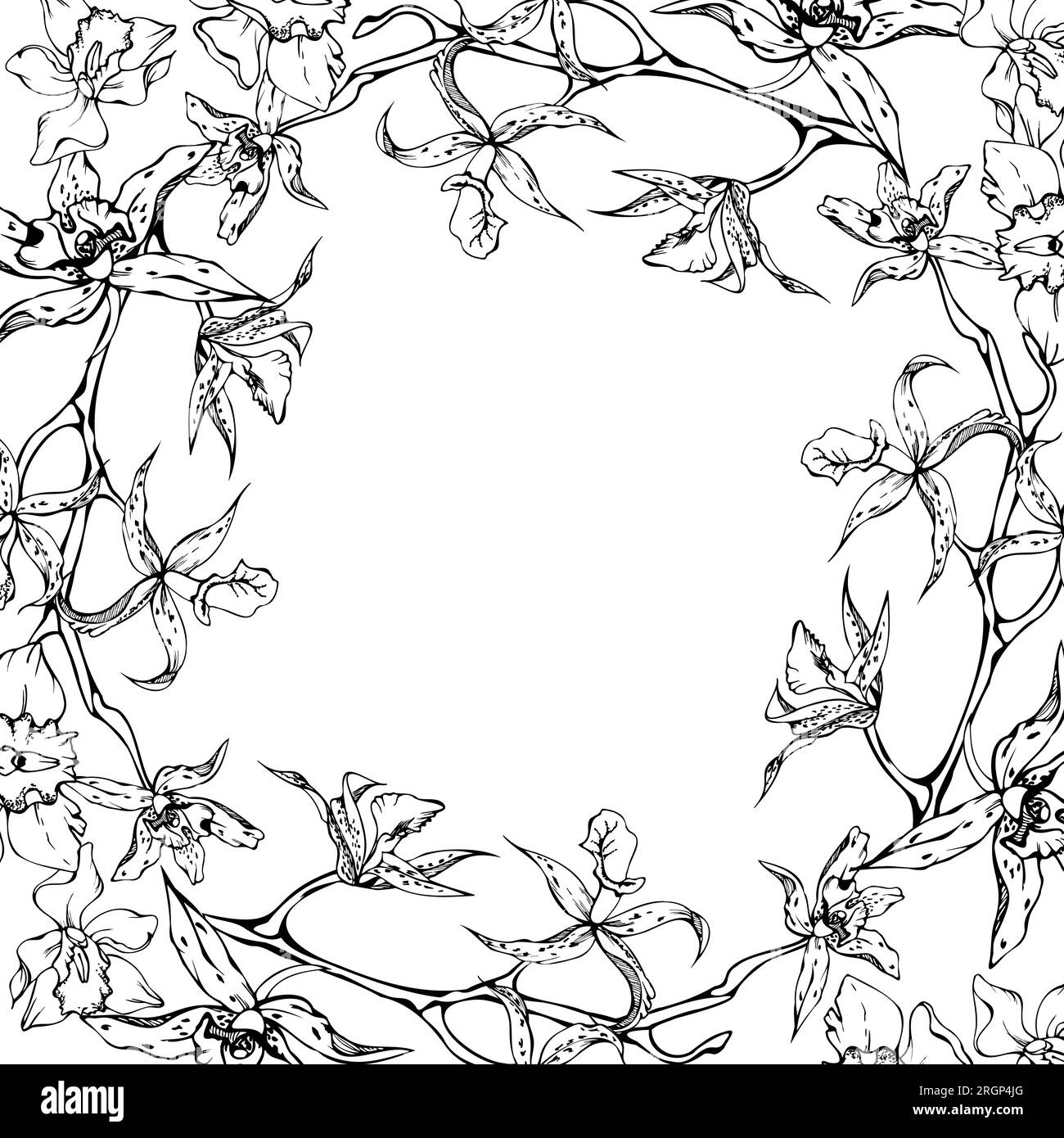 Fleurs et branches d'orchidées à encre vectorielle dessinées à la main, monochrome, contour détaillé. Composition de couronne circulaire. Isolé sur fond blanc. Conception pour Illustration de Vecteur