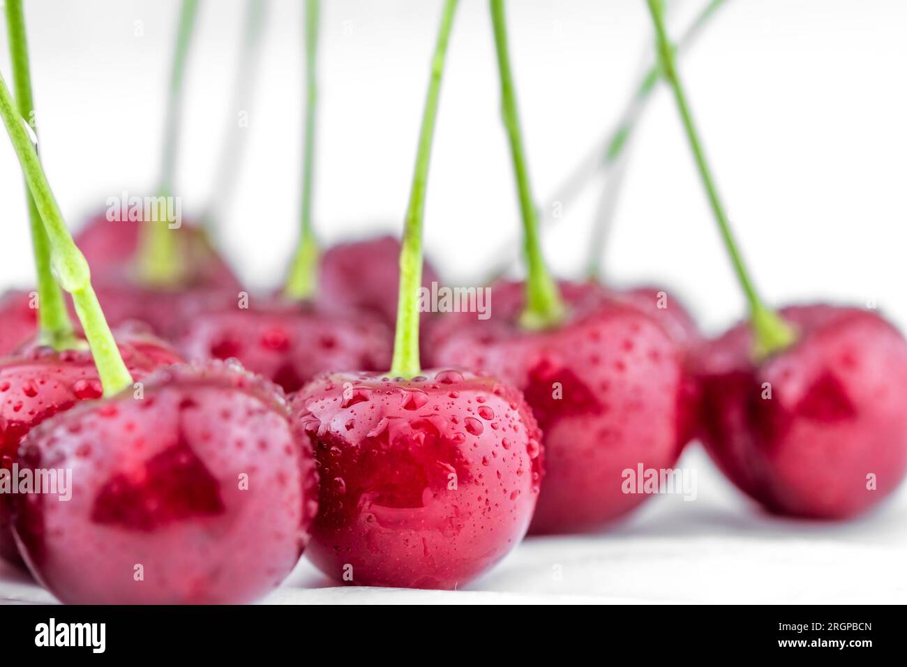 Cerises biologiques rouges mûres et gouttes d'eau Banque D'Images