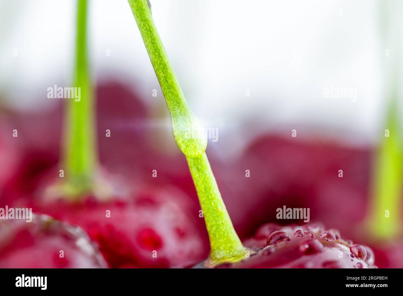 Cerise rouge fraîche, fond alimentaire Banque D'Images