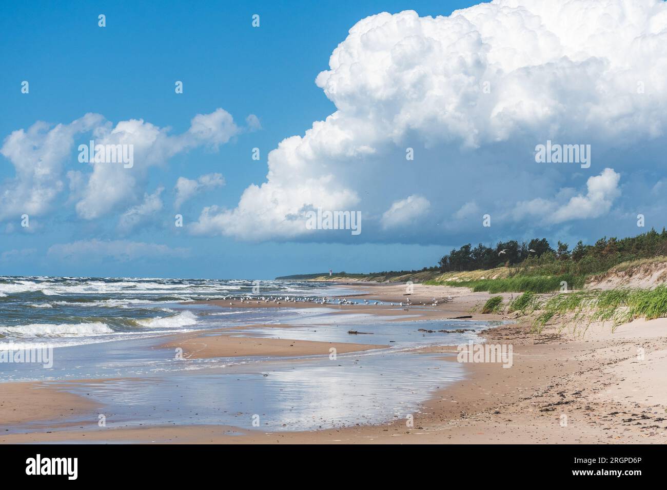Mer agitée avec des vagues, ciel nuageux, plage de sable et dunes avec des roseaux et de l'herbe verte à Pape, Lettonie Banque D'Images