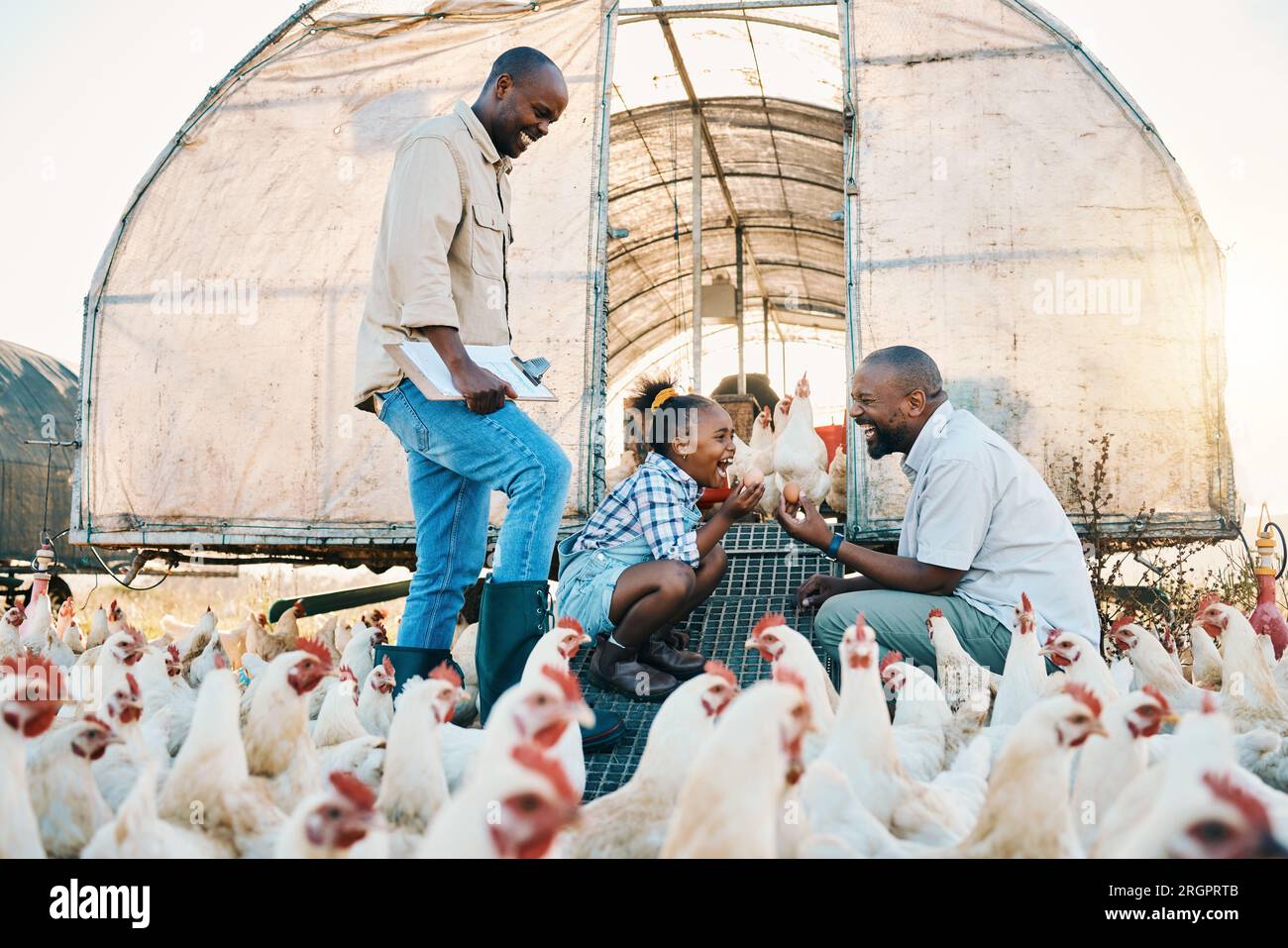 Famille noire, ferme de poulet et excité dans la campagne avec la durabilité, l'aide agricole et enfant. Parents gays, l'agriculture et l'enfant avec Banque D'Images