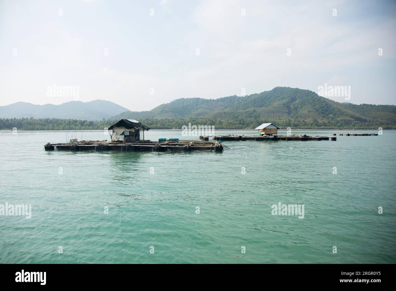 Ferme de homards sur l'île de Ko Yao dans le sud de la Thaïlande. Banque D'Images
