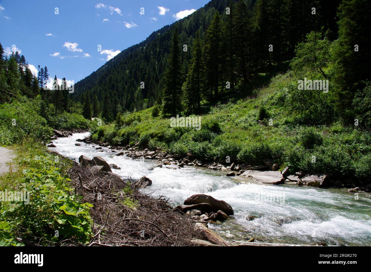 La rivière Krimmler Ache près de Krimml Warterfalls, avec des arbres et un ciel bleu. Banque D'Images