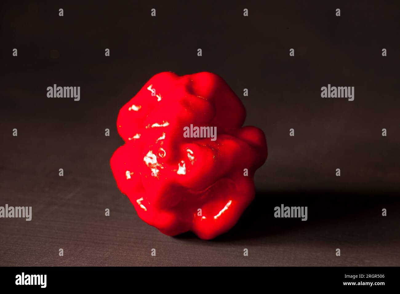 Carolina Reaper Chili Capsicum chinense 10483 Banque D'Images