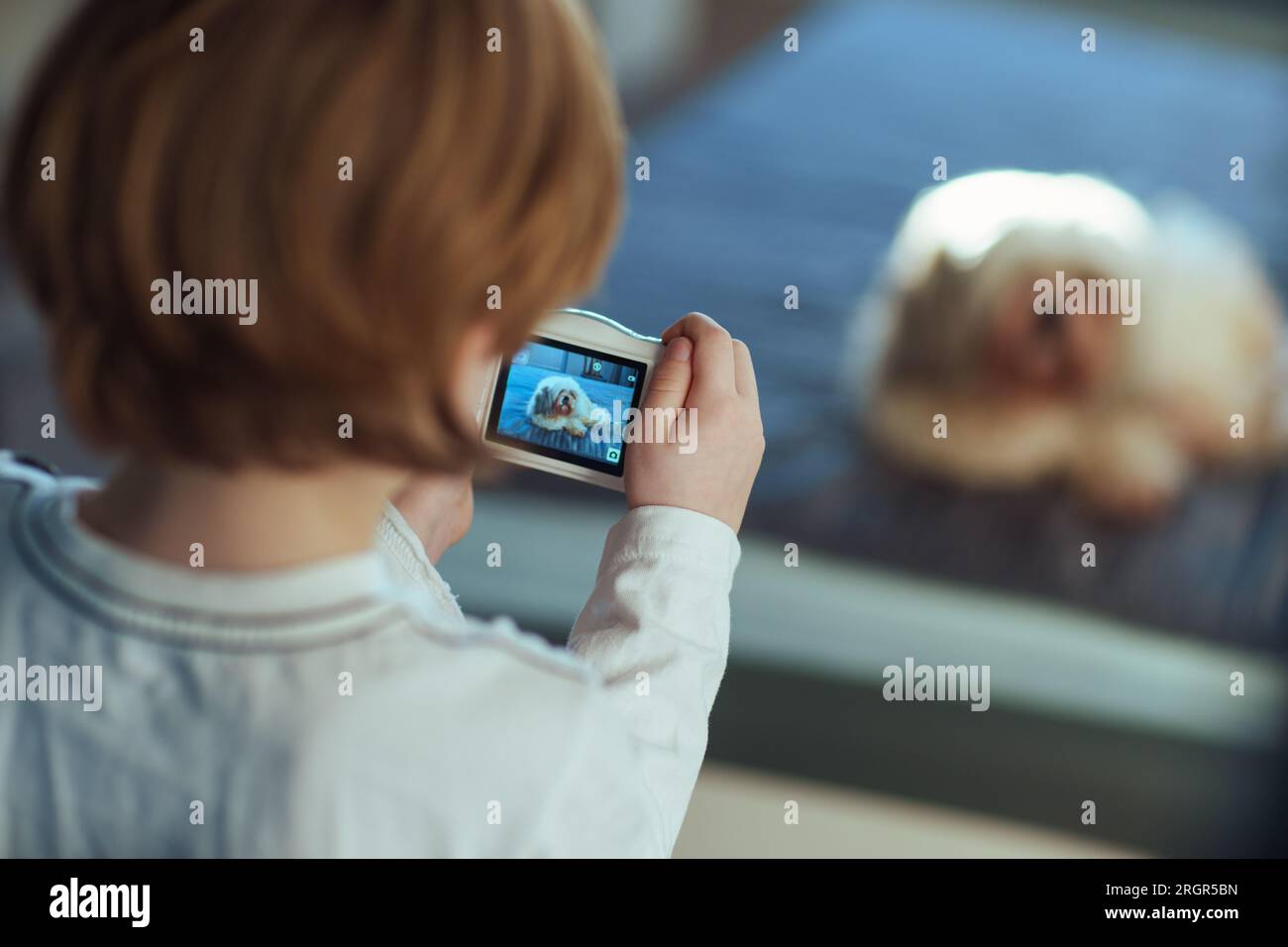 Bébé prend des photos de son chien à la maison, se concentrer sur l'écran Banque D'Images