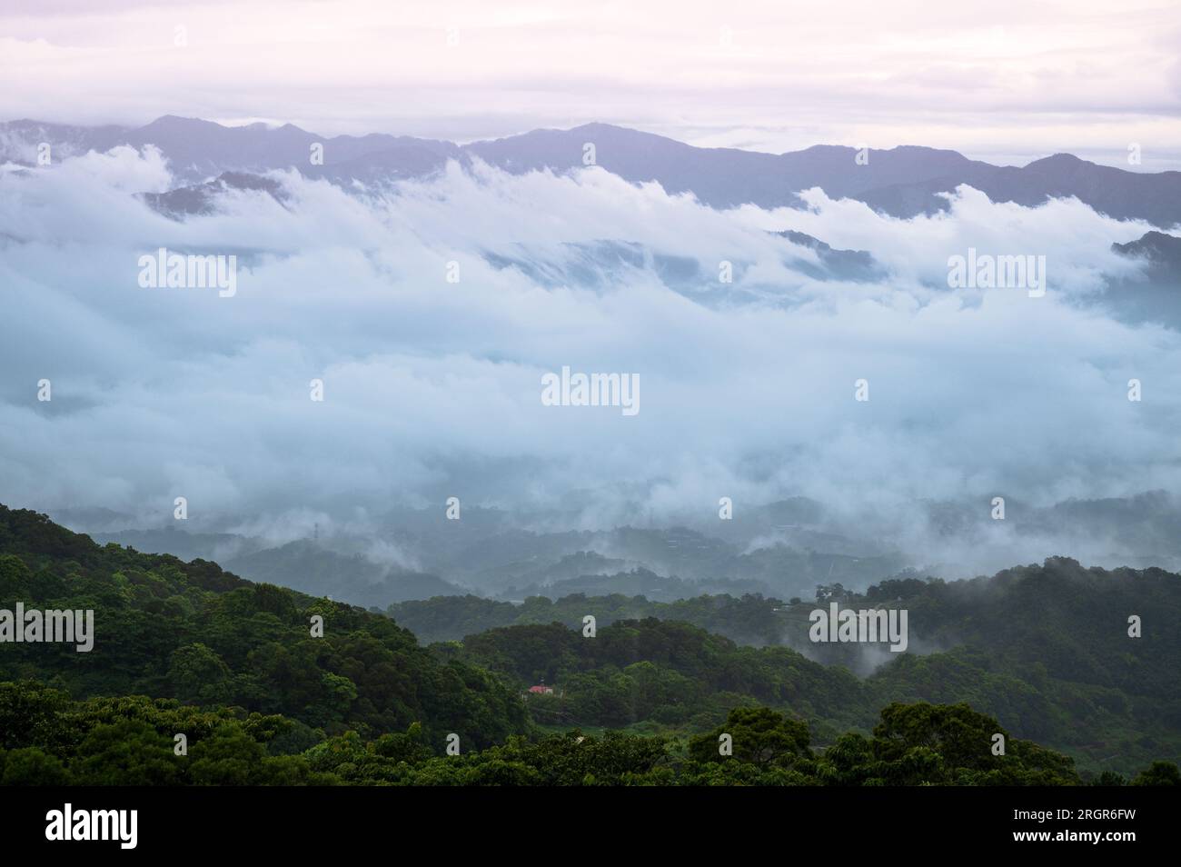 La beauté de la mer de ​​clouds et du brouillard est comme une fée sur terre. Ginger Garden Agritourisme Area, comté de Miaoli. Banque D'Images