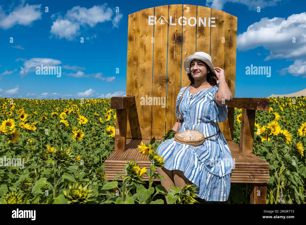 Balgone Farm, East Lothian, Écosse, Royaume-Uni, 11 août 2023. Balgone Farm Sunflower Trail : nouveauté cette année et ouvert hier, l’essai offre aux visiteurs la possibilité de Sunflowers Pyo ainsi que des points photos Instagram. Un pourcentage va à la charité des Samaritains. Sur la photo : Reenu trouve l'endroit idéal pour s'asseoir au soleil. Crédit : Sally Anderson/Alamy Live News Banque D'Images