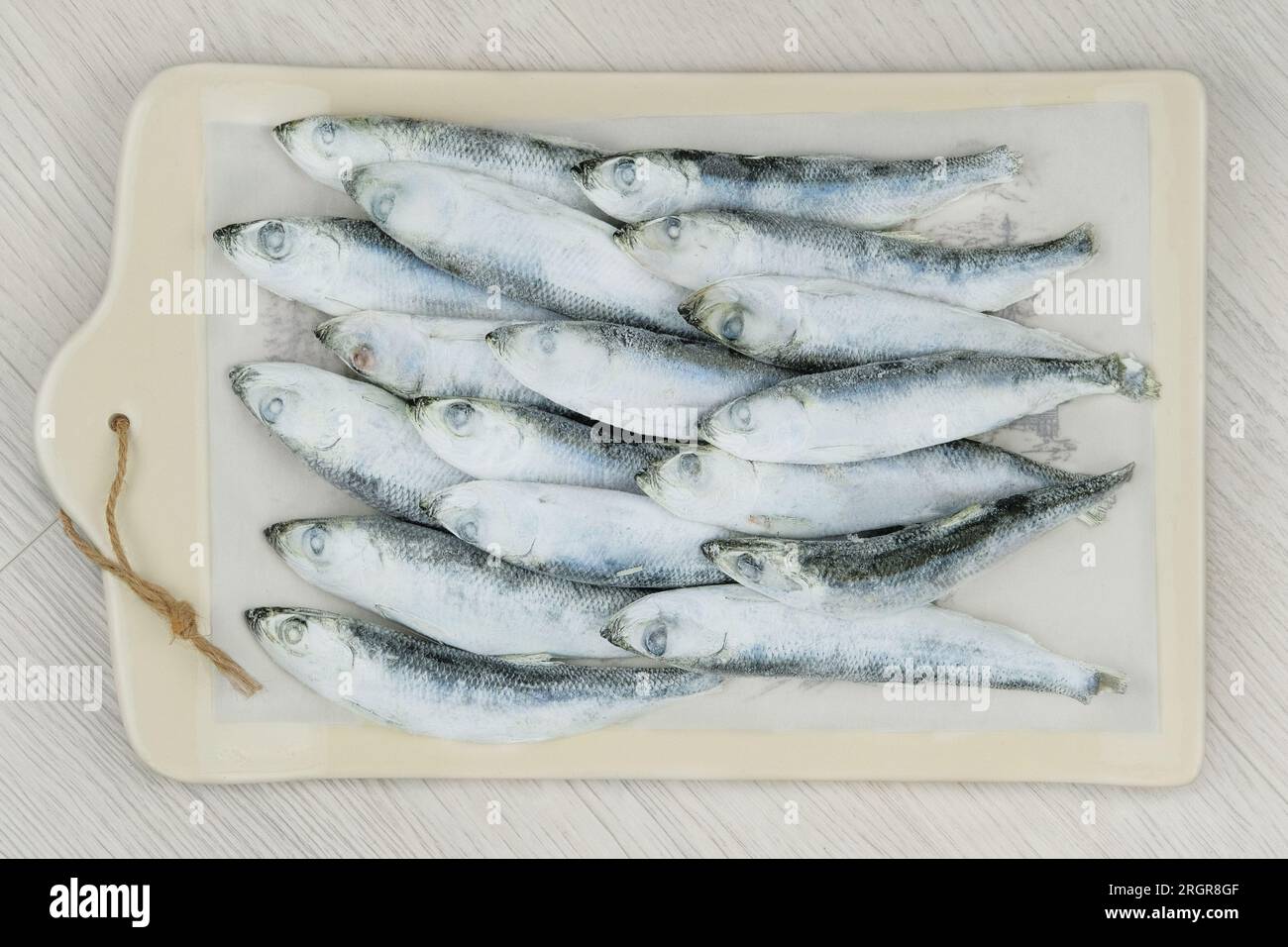 Cru sentait sur fond blanc. Prêt à cuire. Poisson glacé. Banque D'Images