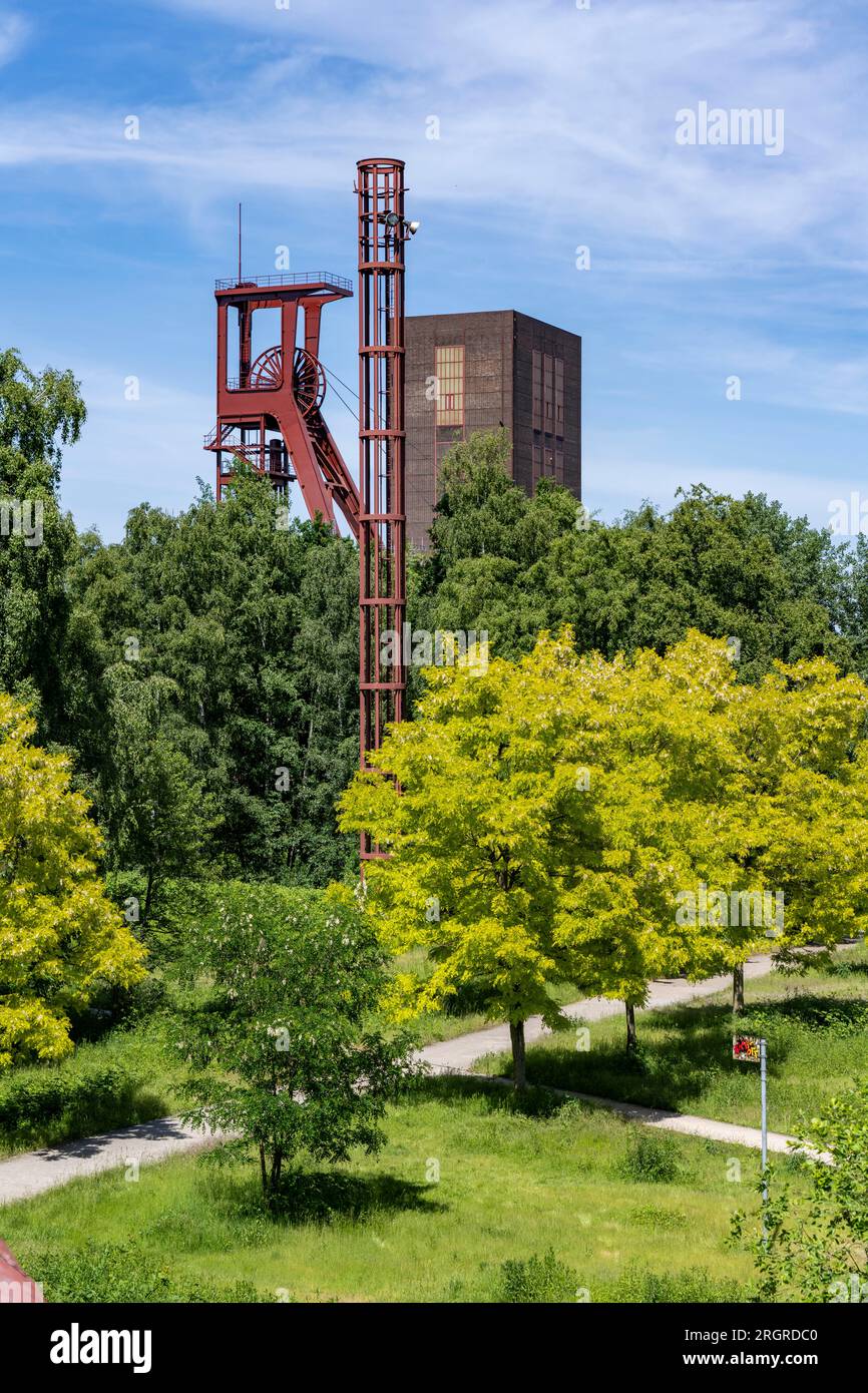 Site du patrimoine mondial de la mine de charbon de Zollverein à Essen, parc Zollverein sur le site de l'ancienne voie ferrée de la mine, puits de fosse 1/2/8, NRW, allemand Banque D'Images